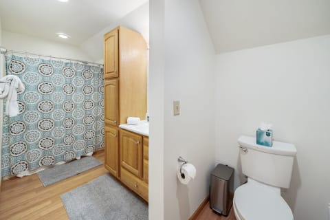 A split view of a clean bathroom featuring a decorative shower curtain and modern toilet fixtures.