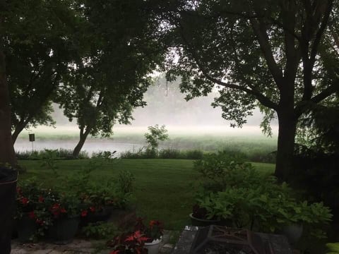 Mist-covered lake framed by lush trees and colorful garden flowers.