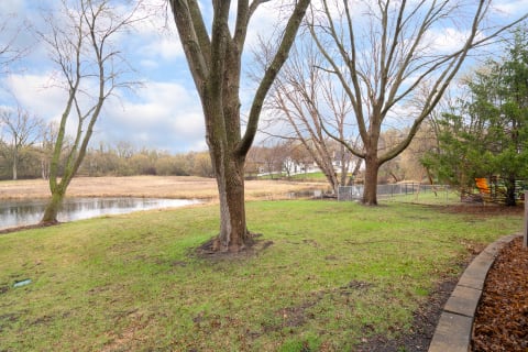 A green grassy area beside a pond with bare trees in the background.