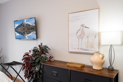 A cozy room corner with a mounted TV, framed bird art, and a stylish lamp.