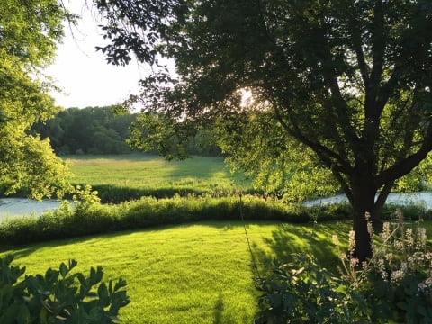 A serene landscape featuring a green lawn and a tree by a stream, illuminated by warm sunlight.