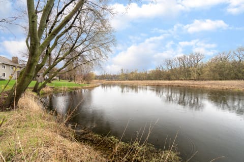 A calm river view with trees and a birdhouse near the water.