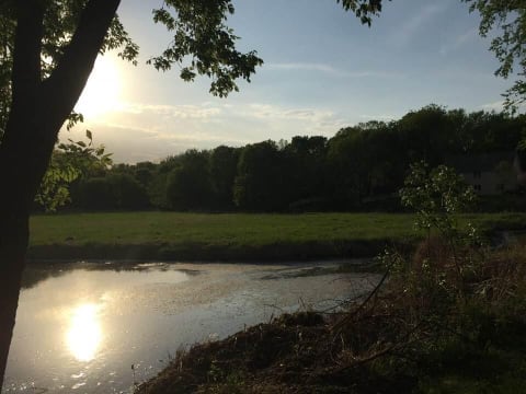 Sunset over a serene river reflecting warm light, framed by trees and greenery.