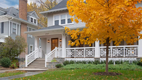 Traditional house entrance featuring a porch, gray siding, and a vibrant yellow tree in autumn.