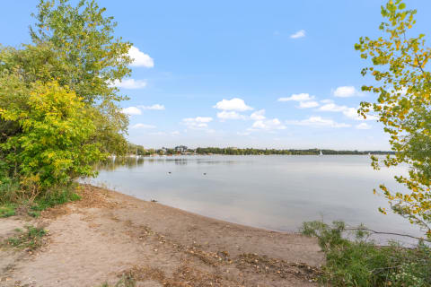 Lakeside view with sandy beach, green trees, and a calm lake on a clear day.