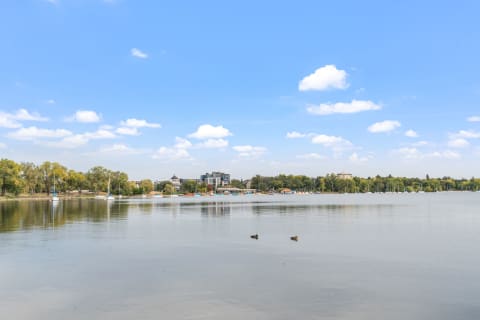 Lakeside view with two ducks, sailboats, trees, and a clear sky filled with clouds.