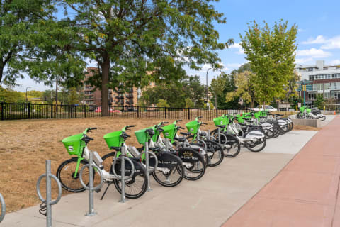 A line of bike-sharing bicycles parked along a pathway in a park.