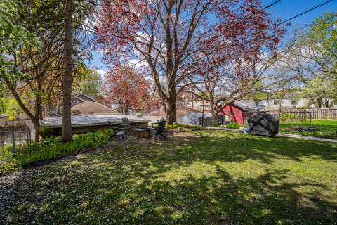 A backyard with colorful trees and seating area under a bright blue sky.