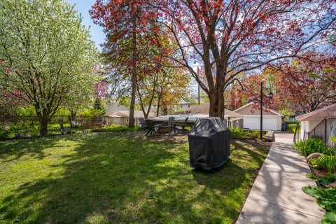 A sunny backyard featuring flowering trees, a grill, and seating for relaxation.