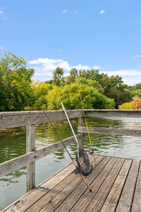 Fishing rods and a net on a wooden dock by tranquil waters and lush greenery.