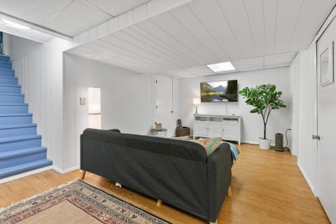 A modern basement living room featuring a gray sofa, flat-screen TV, and green plant.