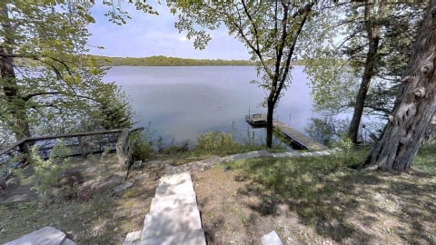 Serene lakeside scene with a wooden dock and trees.