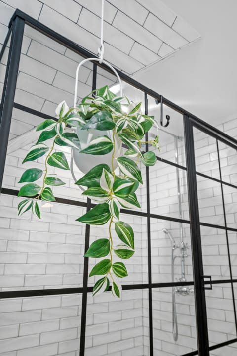A contemporary bathroom with a glass shower and a lush green hanging plant.