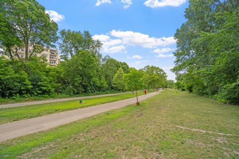 A park with a paved path, trees, and people walking under a blue sky.