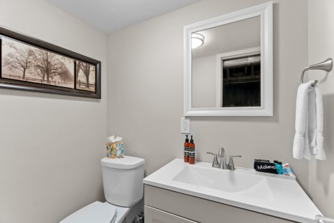 Interior view of a modern bathroom with a white vanity, a mirror, and tasteful decor.