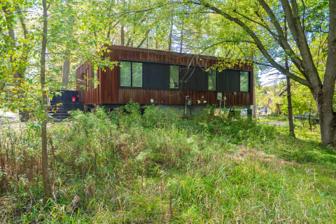 A modern house set in a green landscape with tall trees and wild grass.