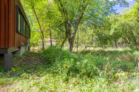Lush green plants and trees behind a wooden building with large windows.