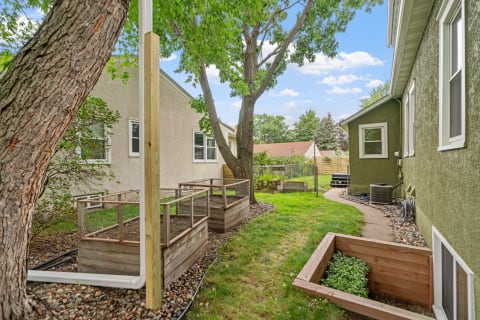 A backyard with garden beds, a large tree, and a clear sky.