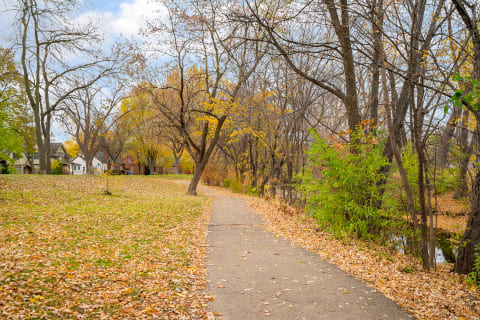 A peaceful pathway covered in fallen leaves with bare trees and distant homes in an autumn setting.