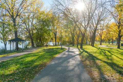 A winding park path surrounded by trees in autumn colors and sunlight.