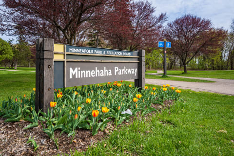 Wooden sign marking Minnehaha Parkway amidst colorful tulips and greenery.