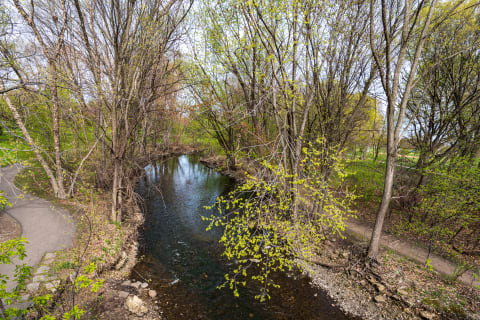 A peaceful stream bordered by trees with new green foliage.