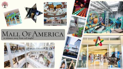 A collage highlighting attractions at the Mall of America, including shops, restaurants, and entertainment areas.