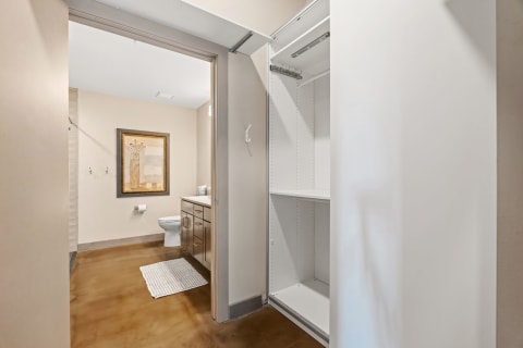 Interior view of a modern bathroom with a closet and stylish decor.