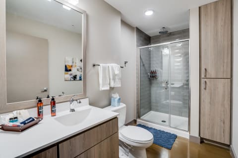 A modern bathroom with a double sink vanity, spacious shower, and soft towel accents.