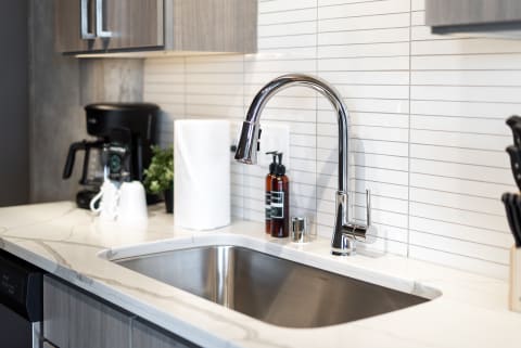 Modern kitchen sink with a sleek faucet, coffee maker, and decorative plant.