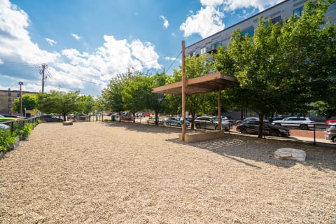 Outdoor area featuring gravel, greenery, and a shaded wooden structure under a blue sky.
