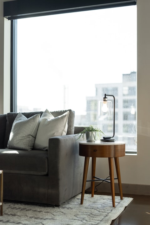 Cozy living room interior featuring a gray sofa, decorative pillows, and a side table with a lamp and plant.