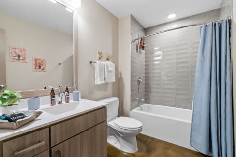 Interior view of a contemporary bathroom with a vanity, mirror, tub, and shower.