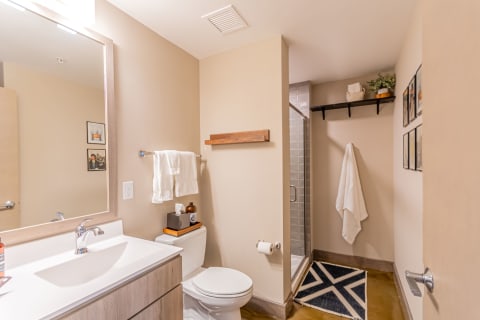 Stylish modern bathroom with minimalistic features and decorative elements.