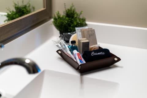 Organized bathroom countertop featuring a leather tray filled with personal care items and a small green plant.