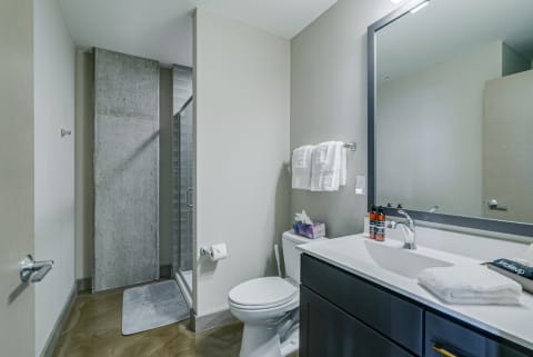 Interior view of a modern bathroom featuring a shower, toilet, and sink with contemporary design.