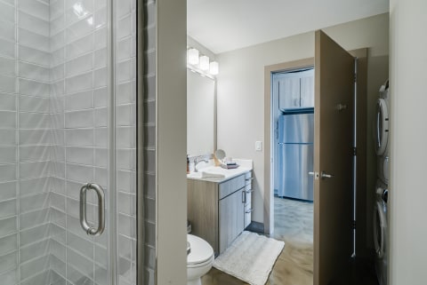 Modern bathroom with walk-in shower and minimalist vanity.