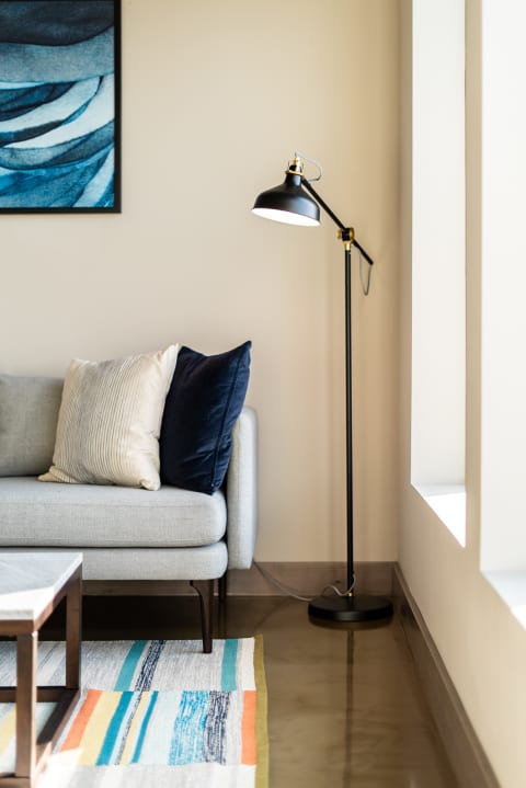 Cozy living room with a grey sofa, decorative pillows, and a black floor lamp.