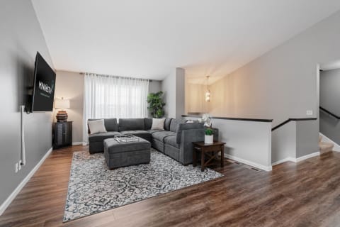Living room featuring a gray sectional sofa, decorative rug, and potted plant under natural light.