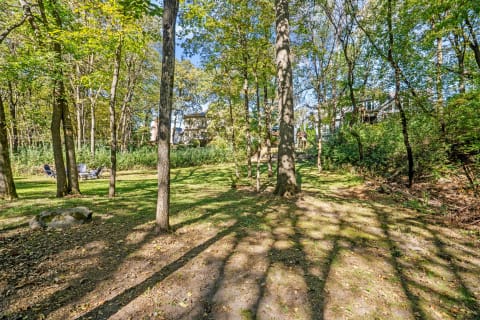 Tranquil outdoor scene featuring a green lawn, tall trees, and a distant house.