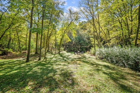 Outdoor forest scene with trees and a seating area.