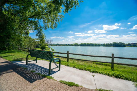 Green metal bench beside a calm lake surrounded by trees and bright blue sky.