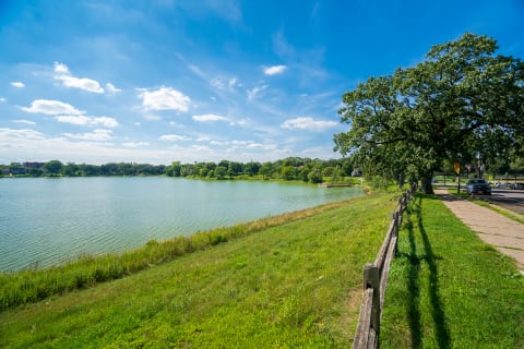 A tranquil lake surrounded by greenery and a wooden fence under a clear sky.