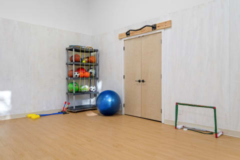 A playroom featuring a shelf of sports balls, exercise equipment, and a pull-up bar above double doors.
