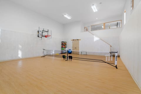 Indoor gym featuring a basketball hoop, exercise equipment, and a net for sports.