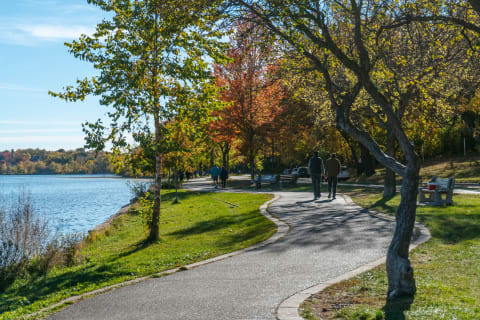 A winding path alongside a lake in autumn, with people walking and colorful trees surrounding the area.