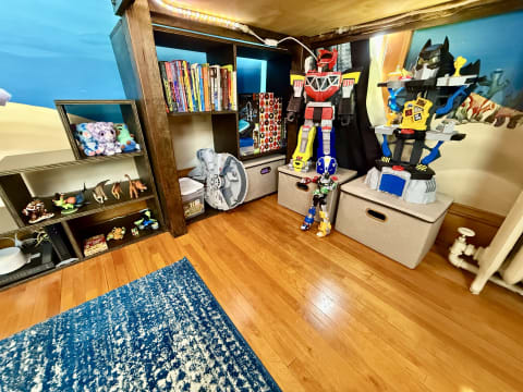 A colorful children's playroom with shelves of books, plush toys, and action figures.