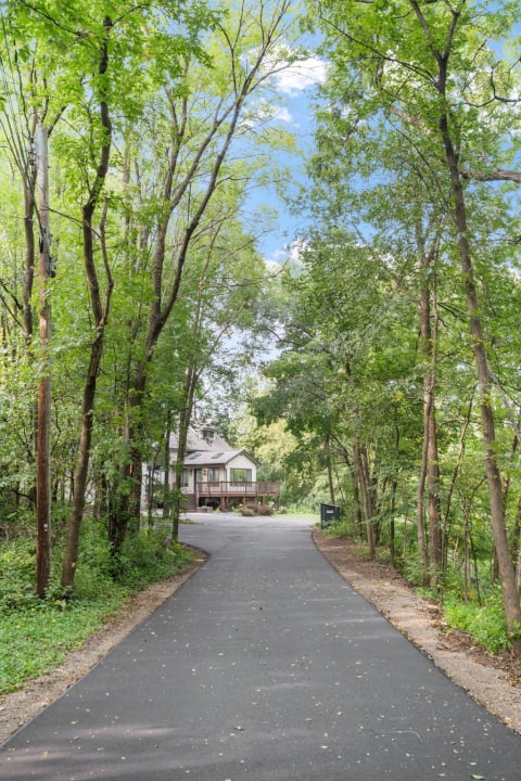 Tree-lined driveway winding towards a house surrounded by greenery.