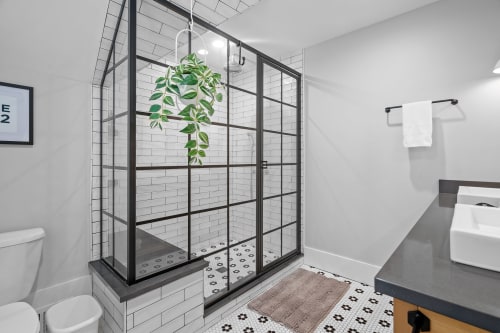 A stylish modern bathroom featuring a glass shower, potted plant, and elegant fixtures.